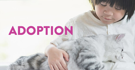 Looking for a new family member? We are committed to partnering with local rescues to find Forever Homes for pets in need. Looking for a new family member? We are committed to partnering with local rescues to find Forever Homes for pets in need.