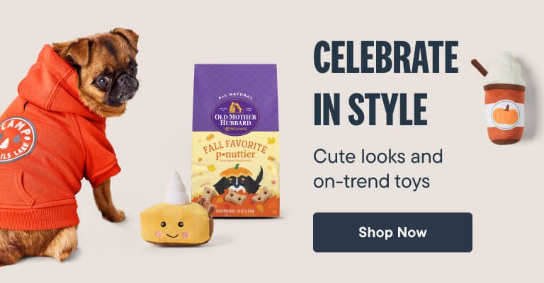 Celebrate Fall In Style with cute looks and on-trend toys - Shop Now