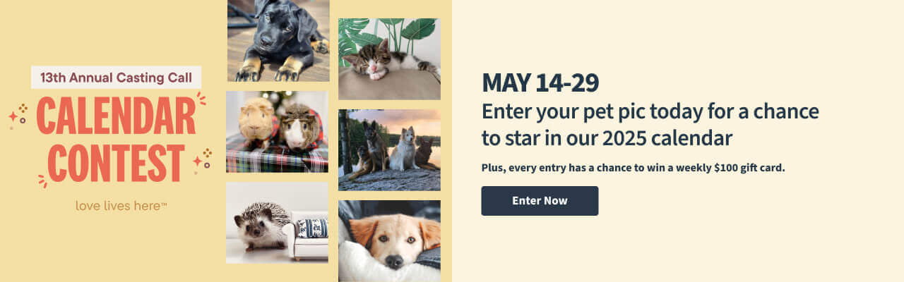 Enter May 14-29 for the chance to be featured in our 2025 Calendar!