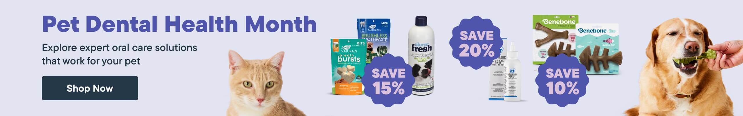 Pet Dental Health Month. Explore expert oral care solutions that work for your pet - Shop Now