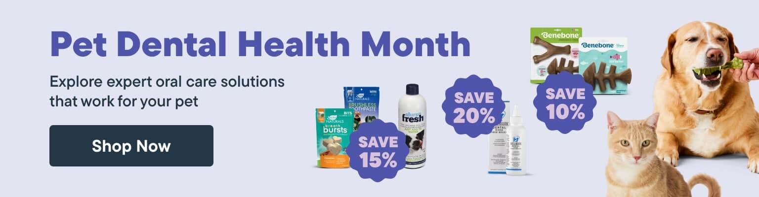 Pet Dental Health Month. Explore expert oral care solutions that work for your pet - Shop Now