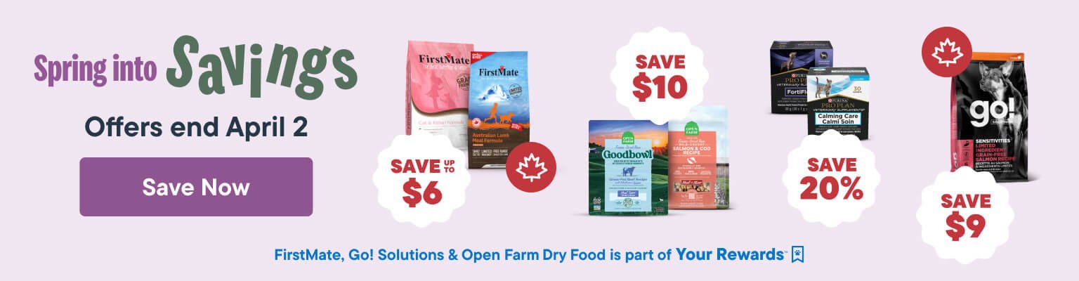 Spring into Savings. Offer Ends April 2 - Save Now