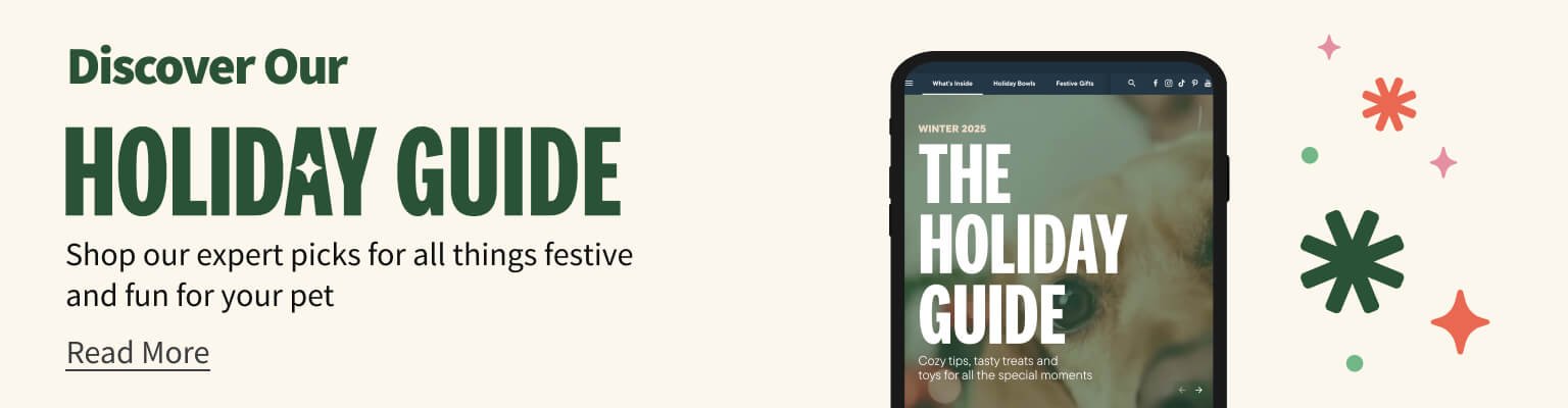 Discover our holiday guide. Read More